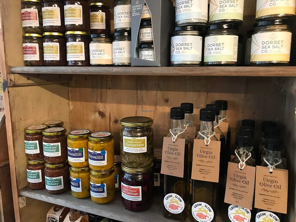 The Pack Horse Cafe Bridport Restaurant HappyCow