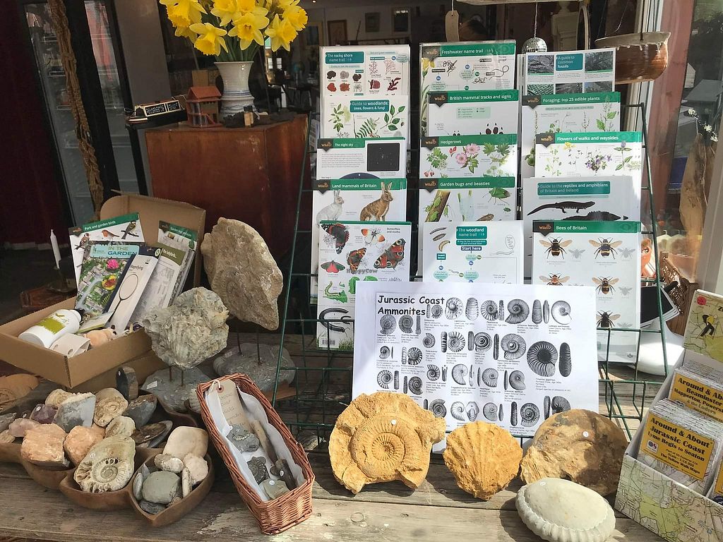 The Pack Horse Cafe Bridport Restaurant HappyCow