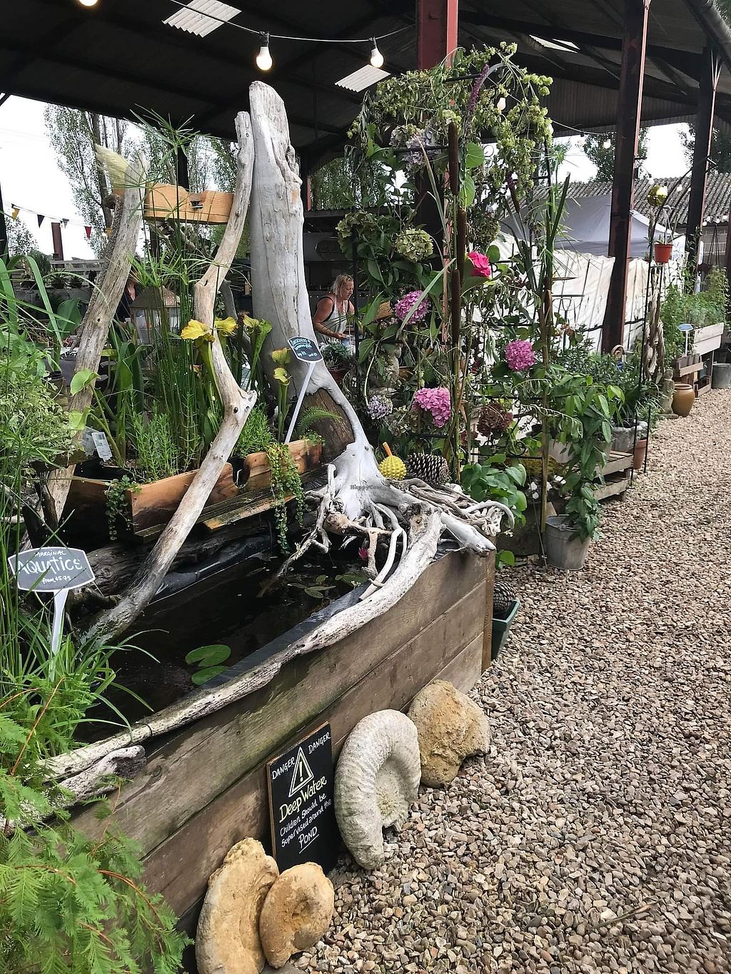 The Pack Horse Cafe Bridport Restaurant HappyCow