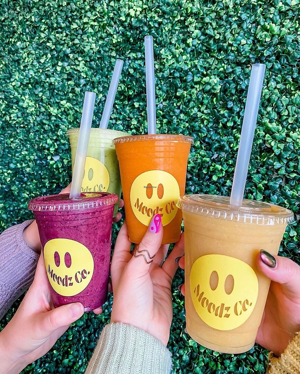 Moodz Co Pittsburgh Pennsylvania Restaurant HappyCow