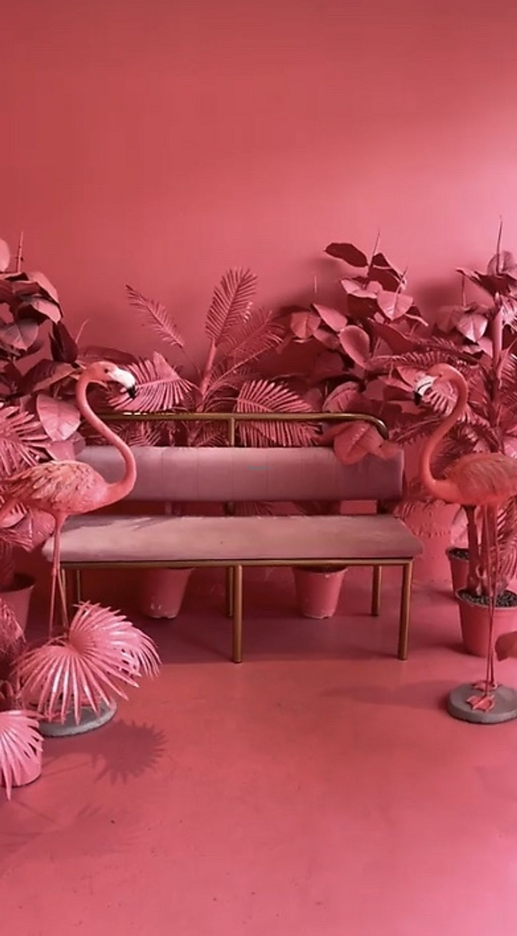 The Rice Pot. Maybe closed Pattaya Restaurant HappyCow