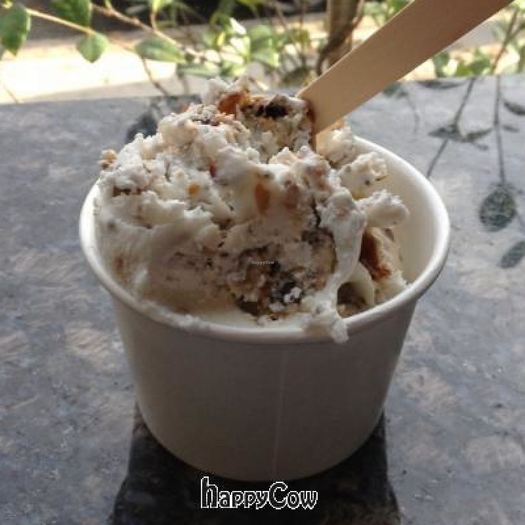 CLOSED FoMu Allston Massachusetts Ice Cream HappyCow