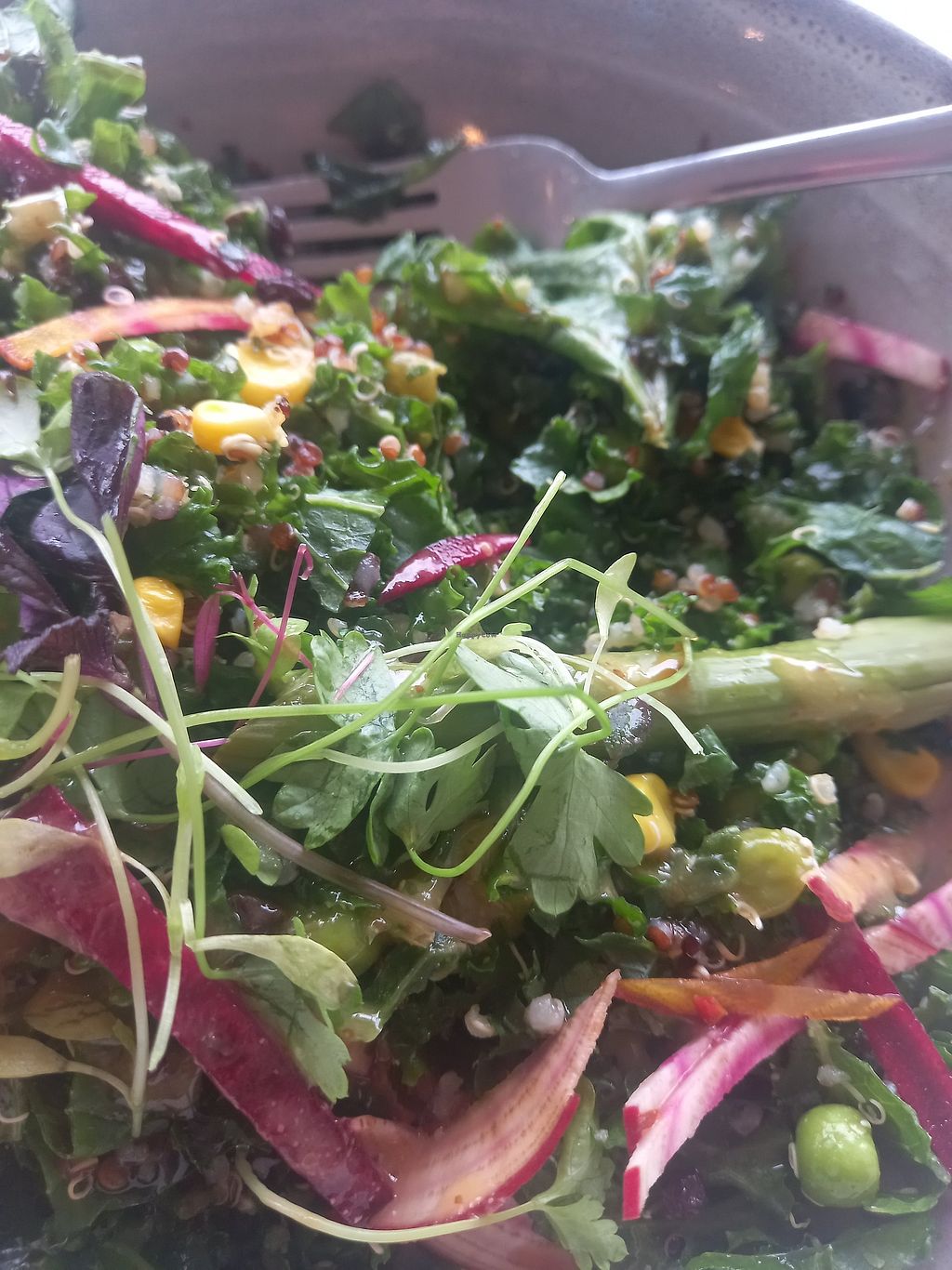 Tall Timber Cafe Prahran Victoria Restaurant HappyCow