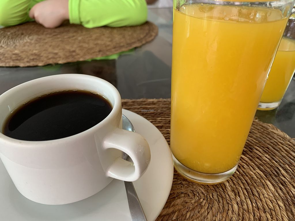 Elements of the Island Isla Mujeres Restaurant HappyCow