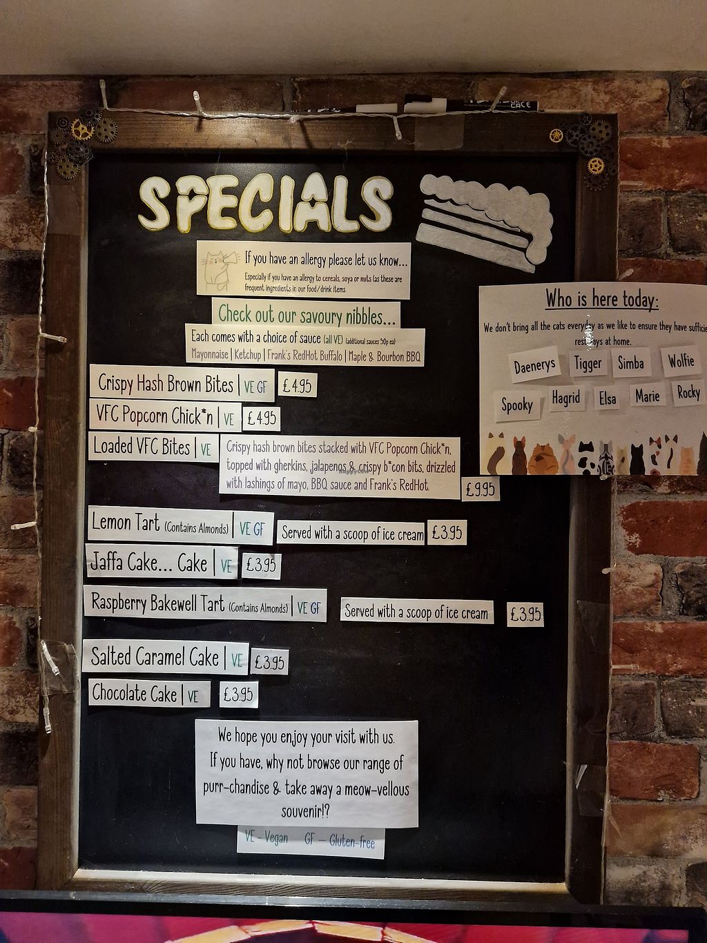 CLOSED Steampuss Cat Lounge Scarborough Other HappyCow