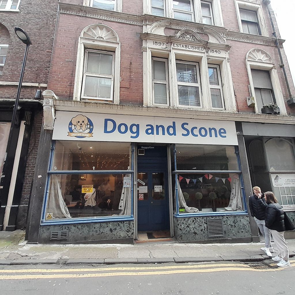 Dog & Scone Newcastle Upon Tyne Review "Good food with adorable