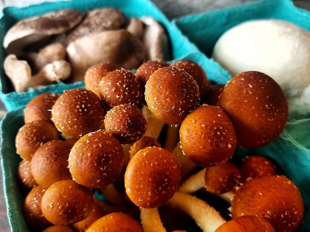 Corn Crib Natural Foods Moncton New Brunswick Health Store HappyCow