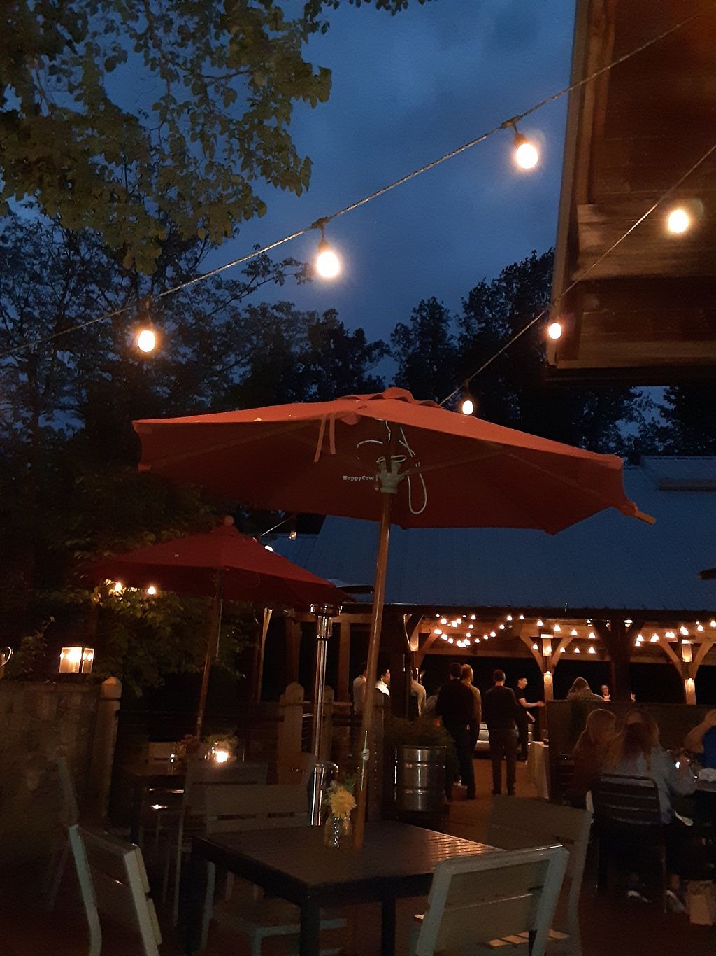 Dancing Bear Appalachian Bistro Townsend Tennessee Restaurant HappyCow