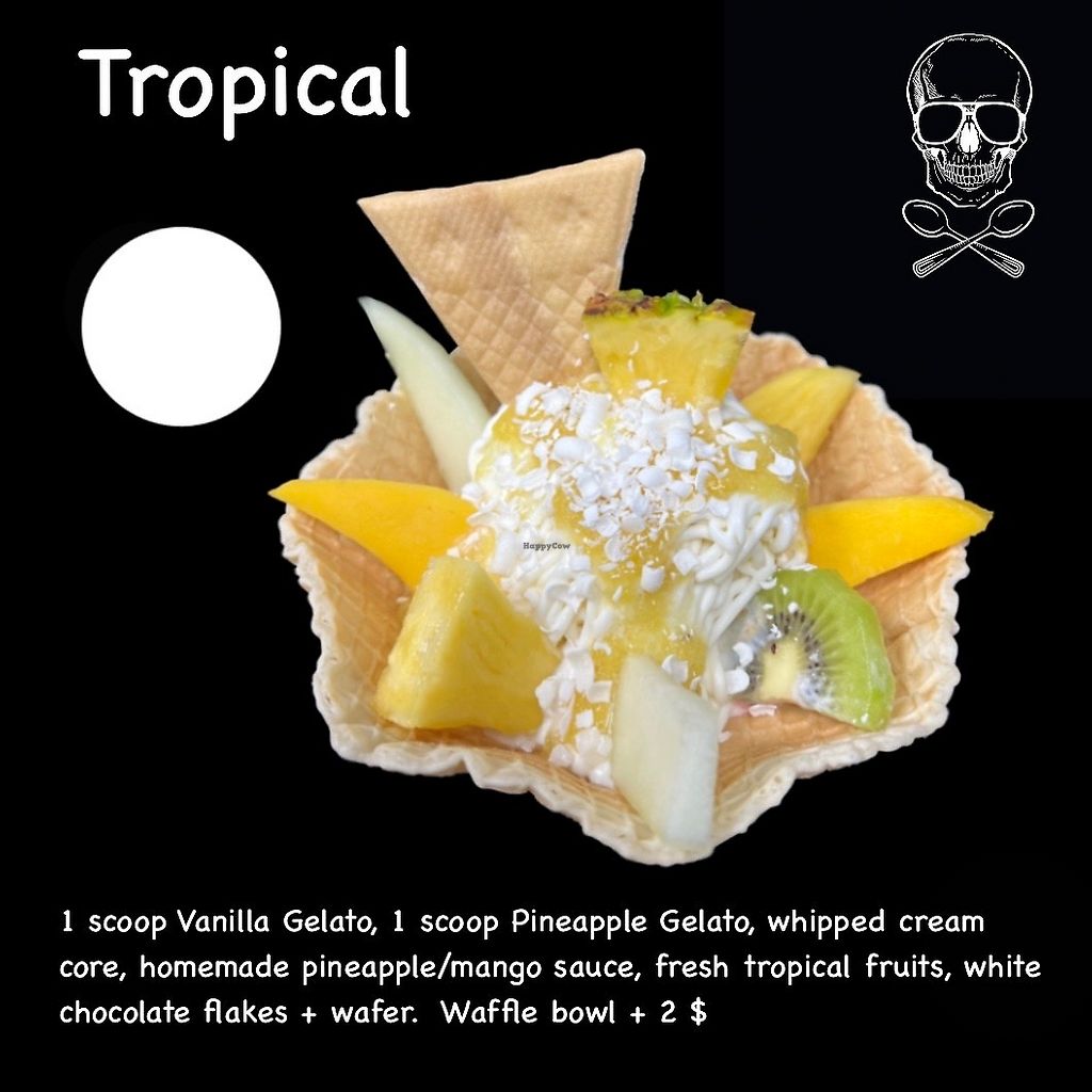 Holy Moly Ice Cream Cape Coral Florida Ice Cream HappyCow