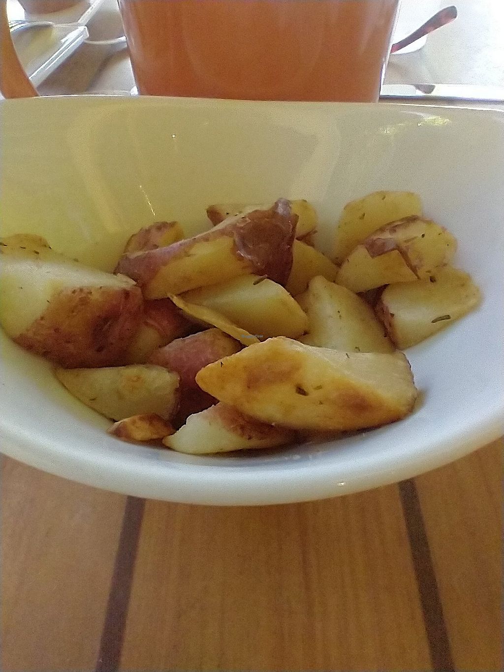 Mango Bistro Englewood Florida Restaurant HappyCow