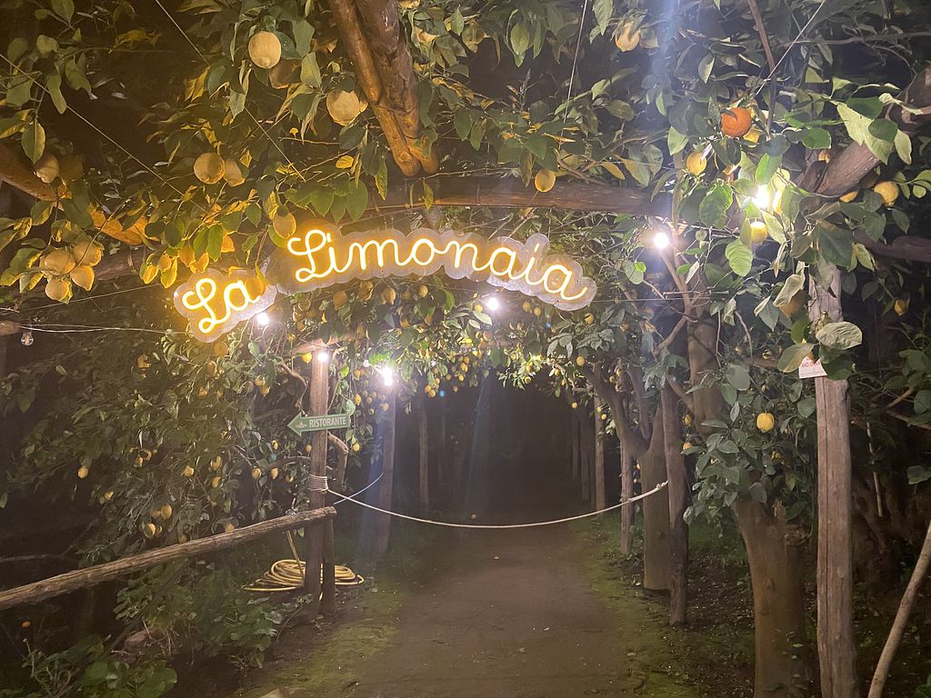 la-limonaia-sorrento-restaurant-happycow