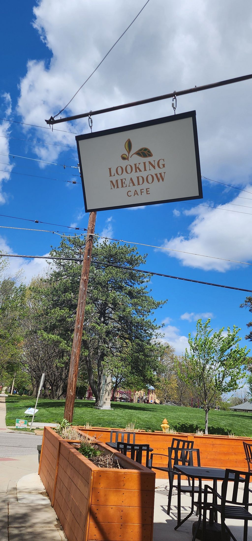 Looking Meadow Cafe Maplewood Missouri Coffee & Tea HappyCow