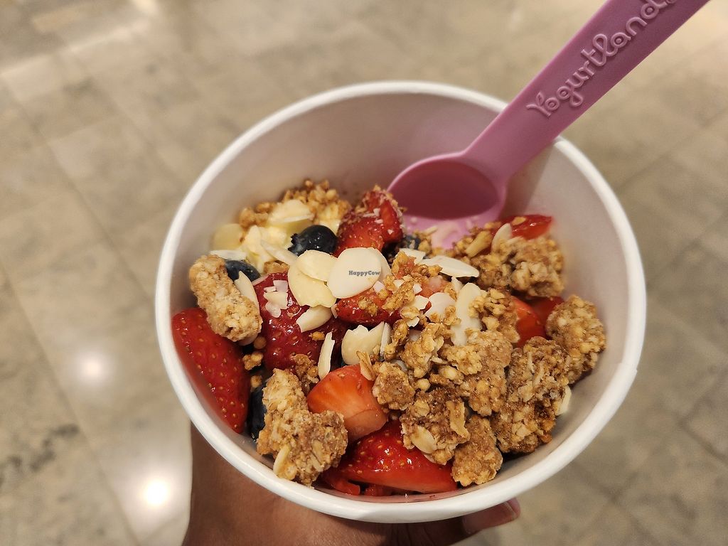 Yogurtland Las Vegas Nevada Ice Cream HappyCow