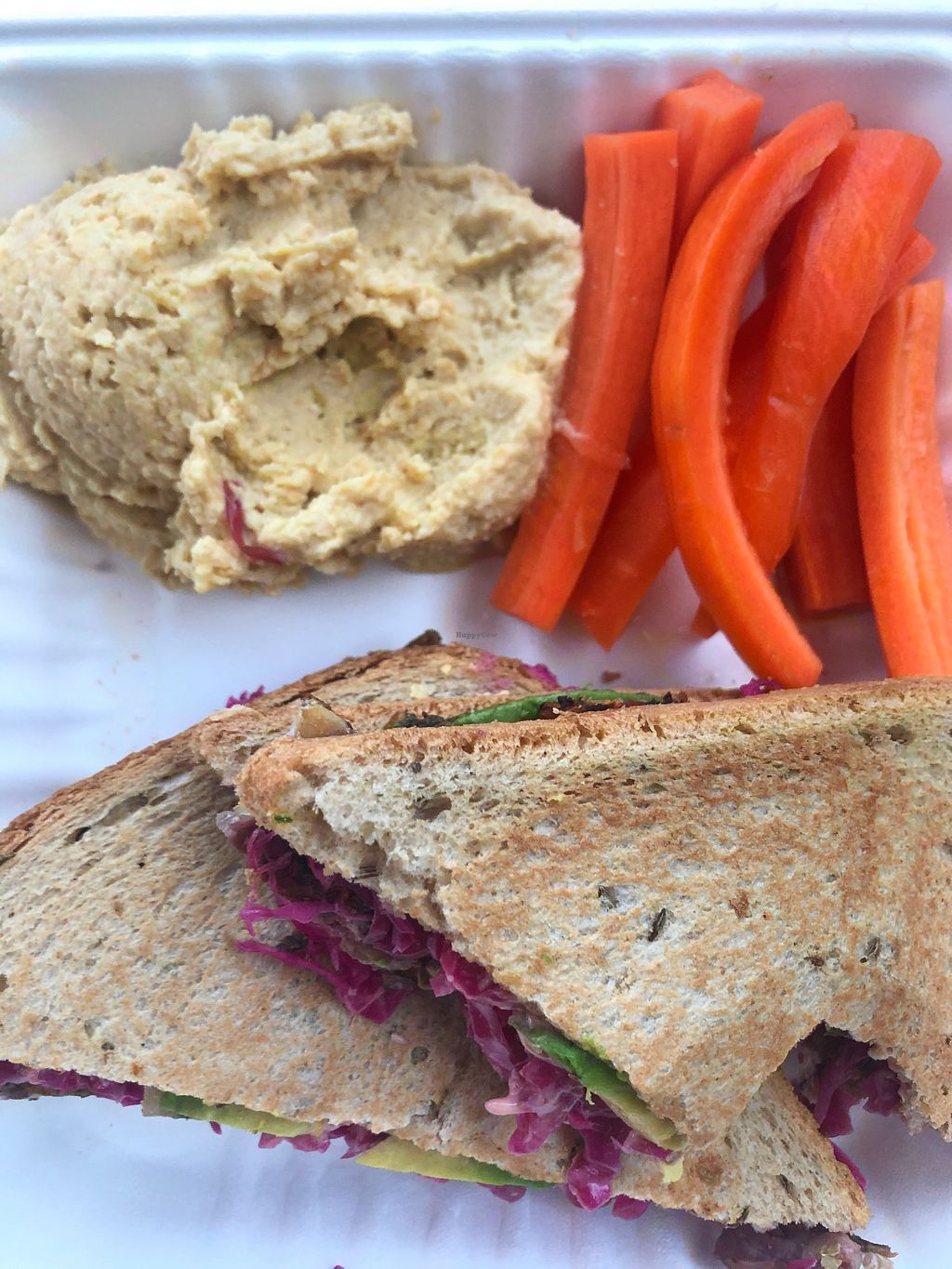 CLOSED Daily Green Gainesville Florida Restaurant HappyCow