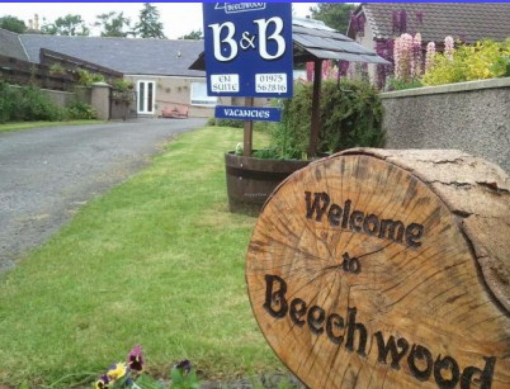 Beechwood Bed and Breakfast Alford B&B HappyCow