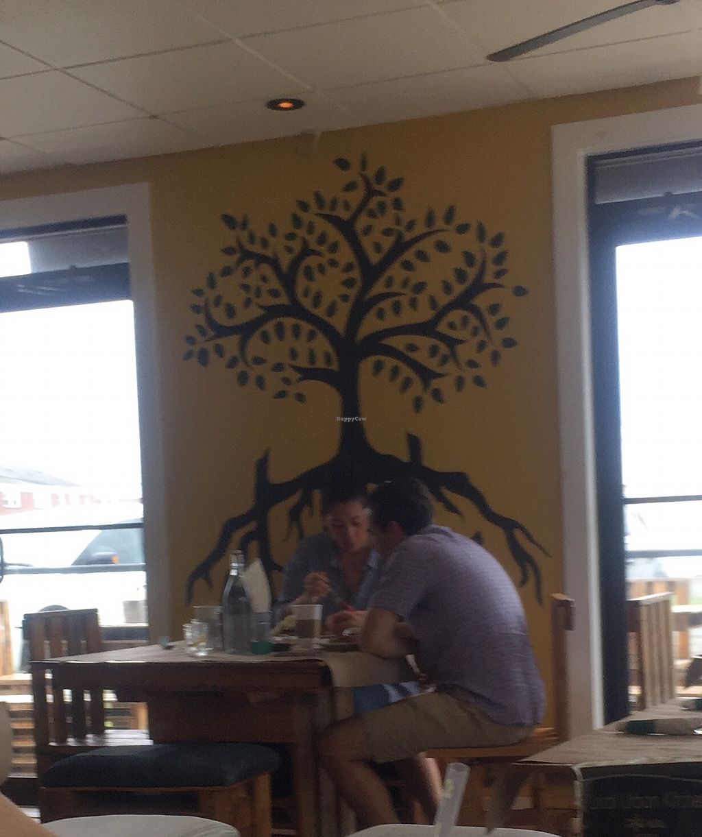 Local Urban Kitchen Point Pleasant Beach New Jersey Restaurant Happycow