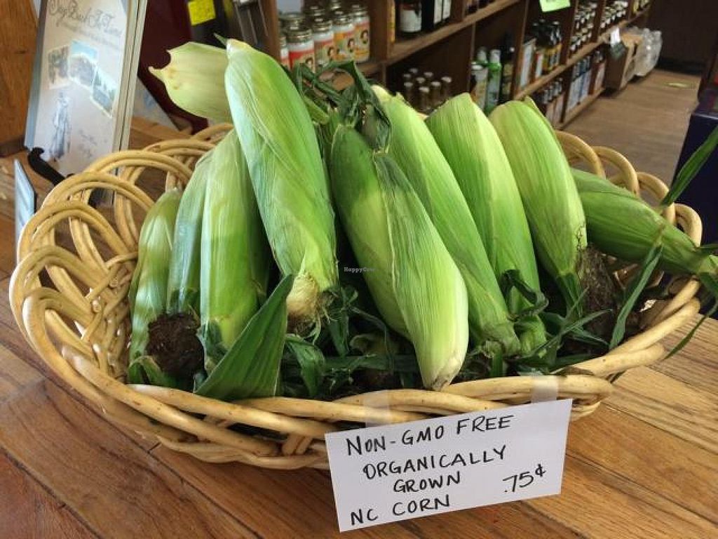 CLOSED Roots and Fruits Market Black Mountain North Carolina Health