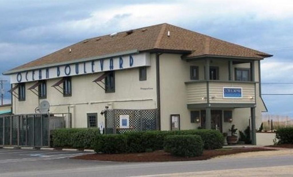 Ocean Boulevard Bistro and Martini Bar Kitty Hawk North Carolina