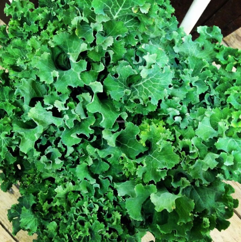 CLOSED Pie in the Sky Otego New York Restaurant HappyCow