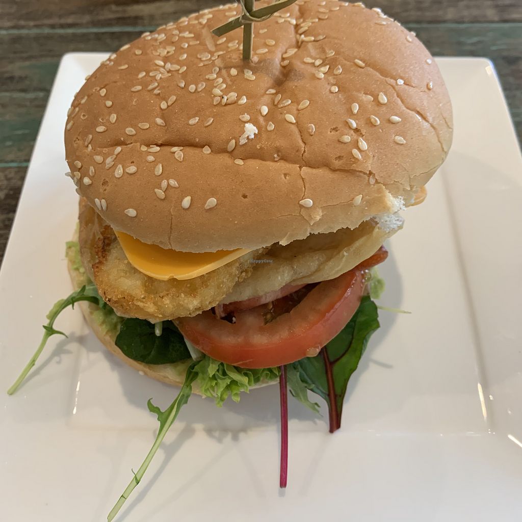 The Pizza and Pasta Kitchen Toongabbie New South Wales Restaurant HappyCow