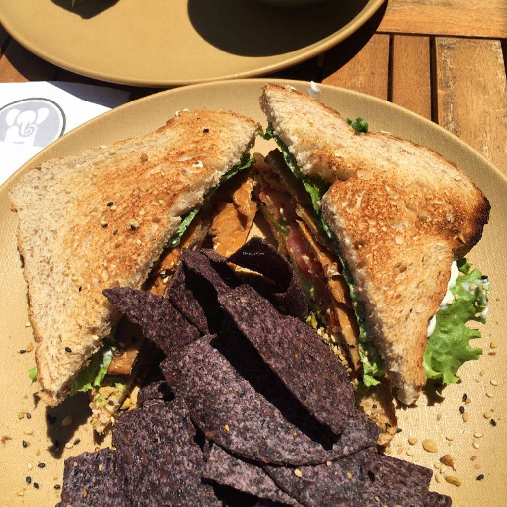 Fruits & Roots Stuart Florida Restaurant HappyCow