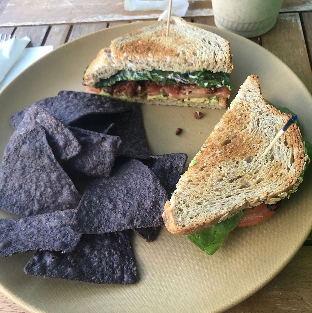 Fruits & Roots Stuart Florida Restaurant HappyCow