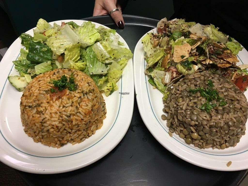 CLOSED Osta's Lebanese Cuisine Grand Rapids Michigan Restaurant