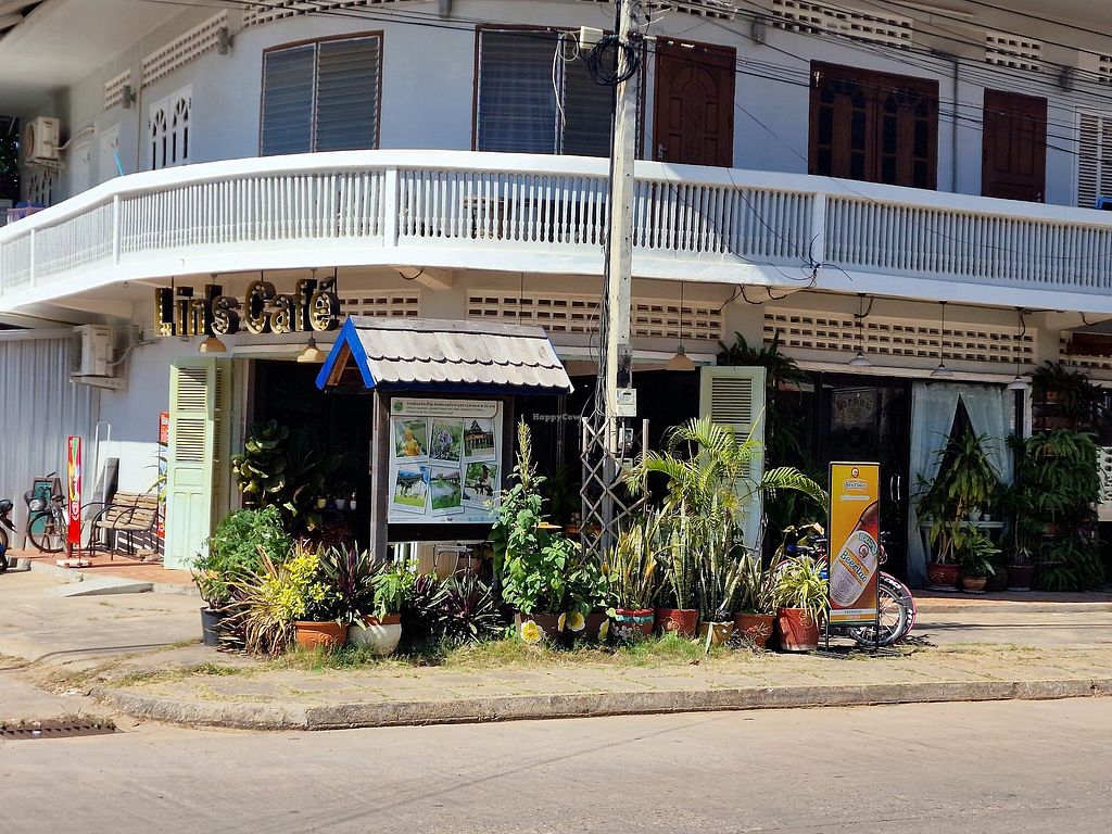 Lin's Cafe Savannakhet Restaurant HappyCow