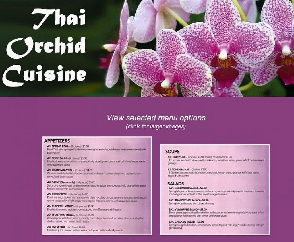 Thai Orchid Cusine Petoskey Michigan Restaurant Happycow