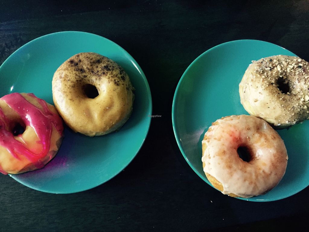 CLOSED Rocket 88 Doughnuts Indianapolis Indiana Bakery HappyCow