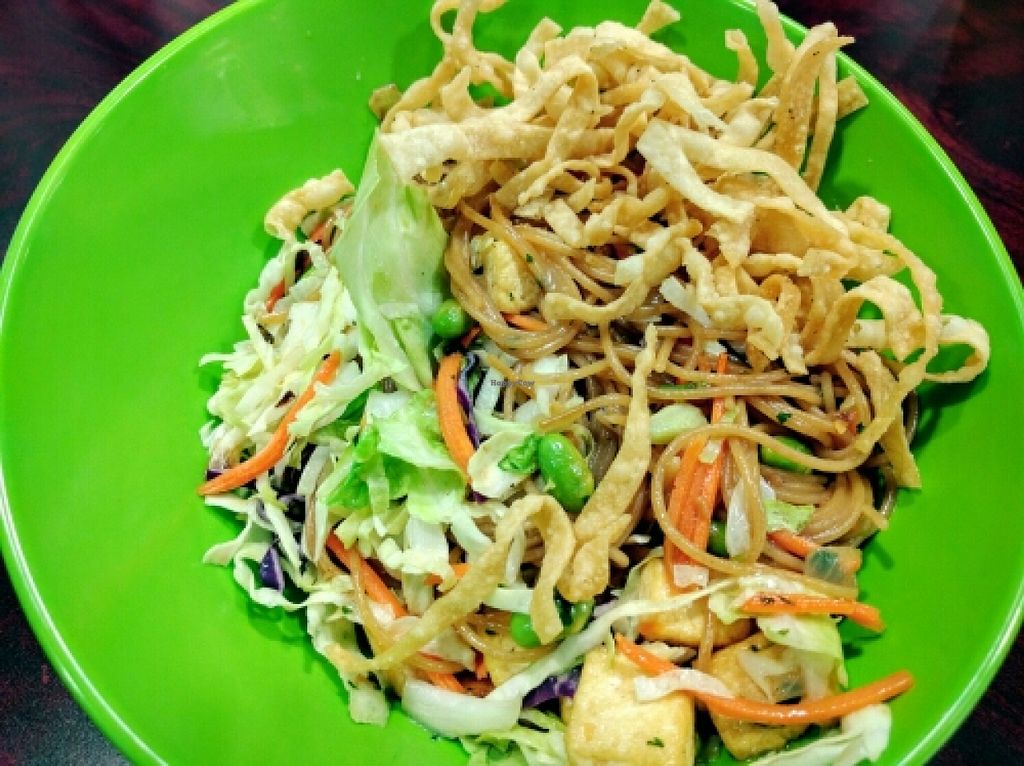 Twisted Noodle Cafe St Utah Restaurant HappyCow