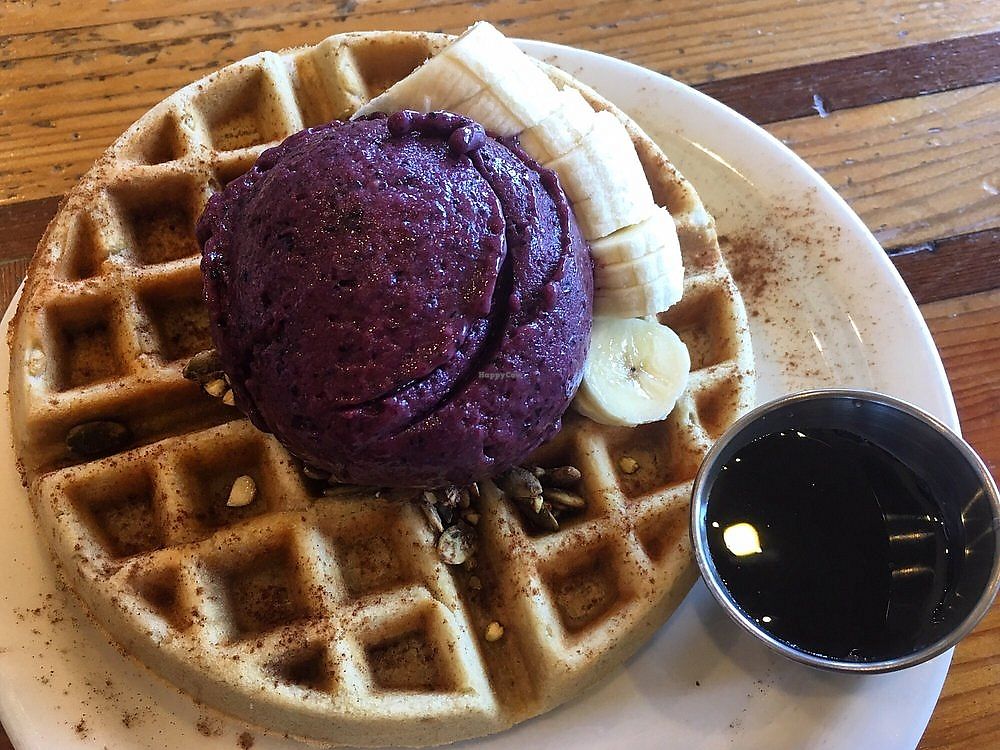 Judahlicious cafe