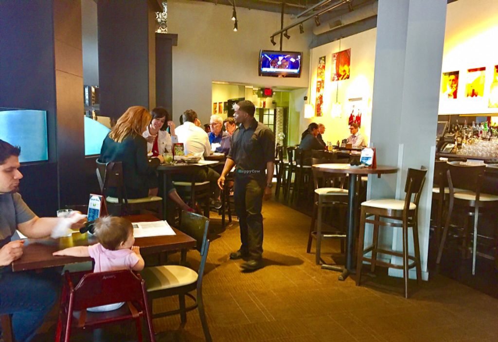 Paladar Latin Kitchen Rum Bar Woodmere Ohio Restaurant Hycow Bar Area At Paladar Latin Kitchen Rum In Woodmere