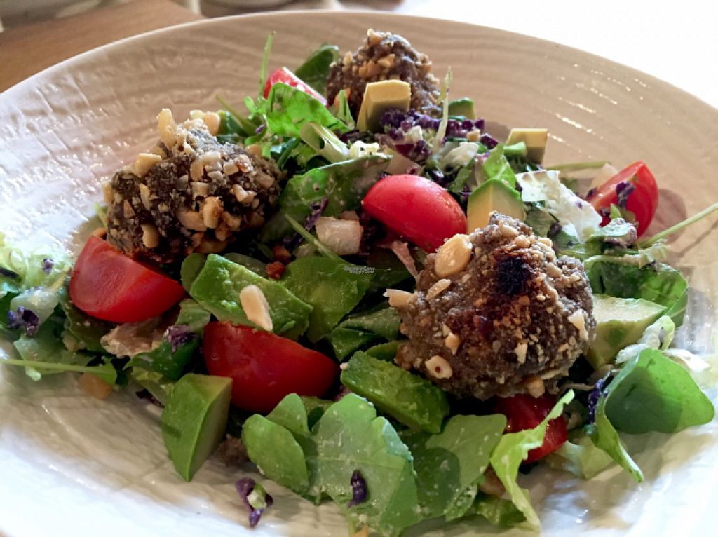 raw salad with crunchy balls at Vegan Gorilla in Nice