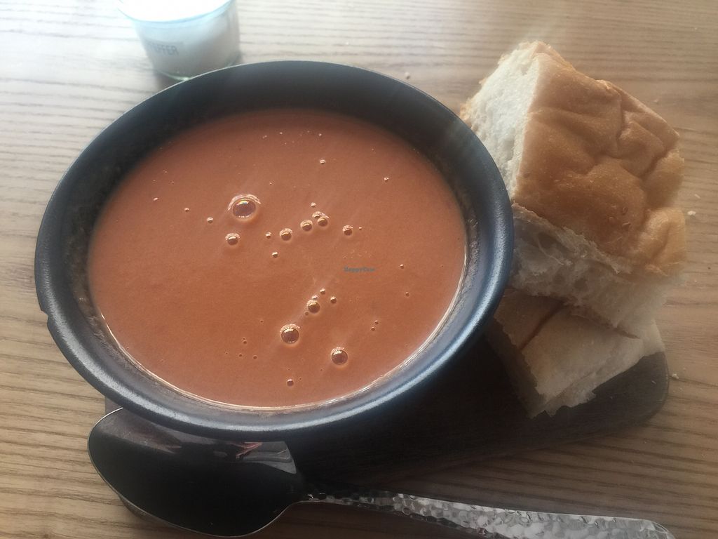 Franz Soupmarine Heidelberg Restaurant HappyCow