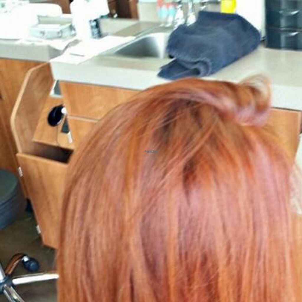 LV Hair Doc Organic Salon Henderson Nevada Other HappyCow