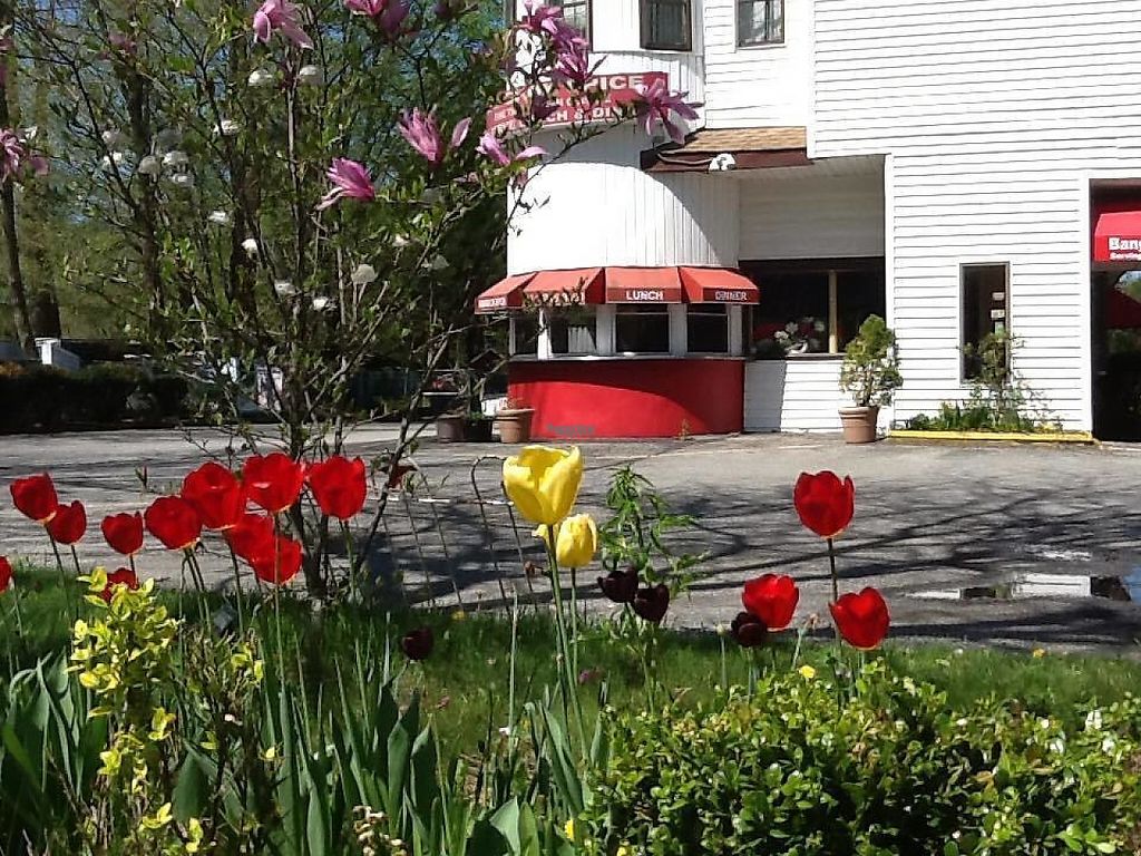 Bangkok Spice Shrub Oak New York Restaurant HappyCow