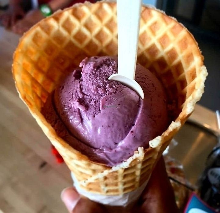 CLOSED Little Giant Ice Cream Oakland California Ice Cream HappyCow