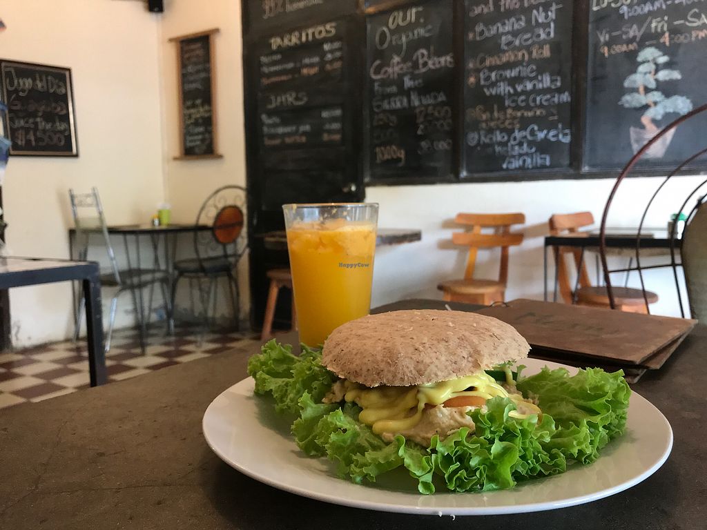 CLOSED Cafe Bonsai Taganga Restaurant HappyCow