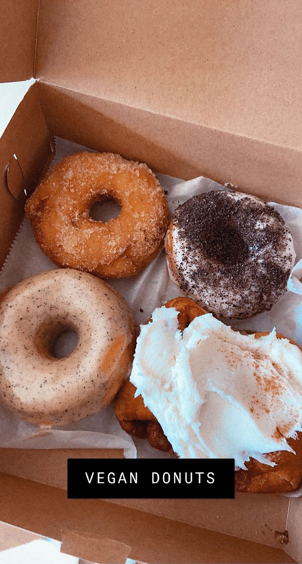 CLOSED Misfit Doughnuts & Treats Rochester New York Bakery HappyCow