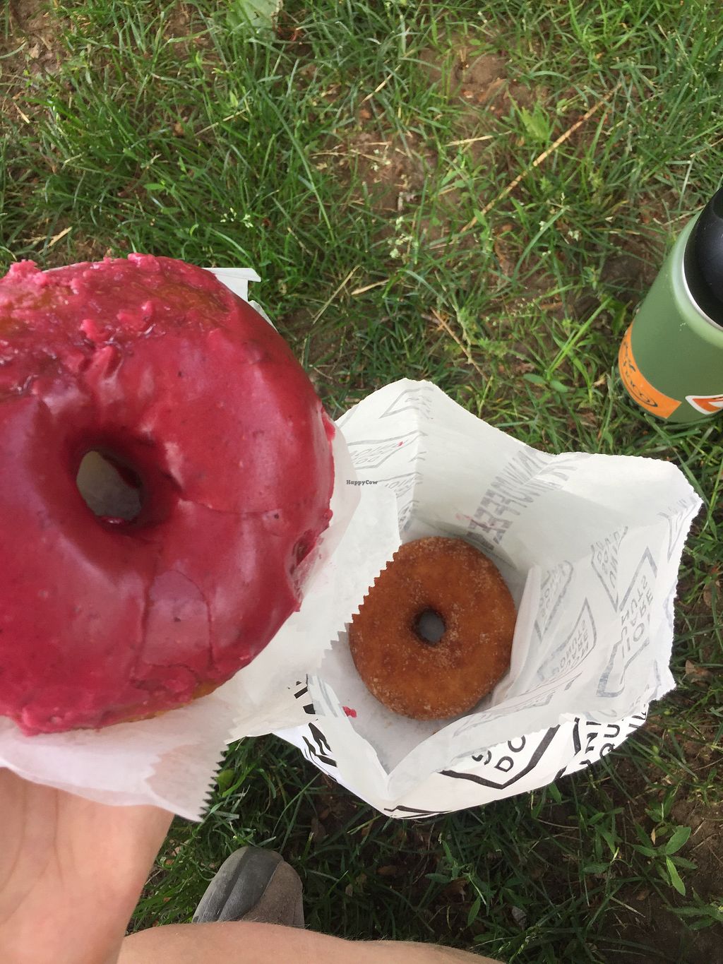 Union Square Donuts Somerville Massachusetts Bakery HappyCow