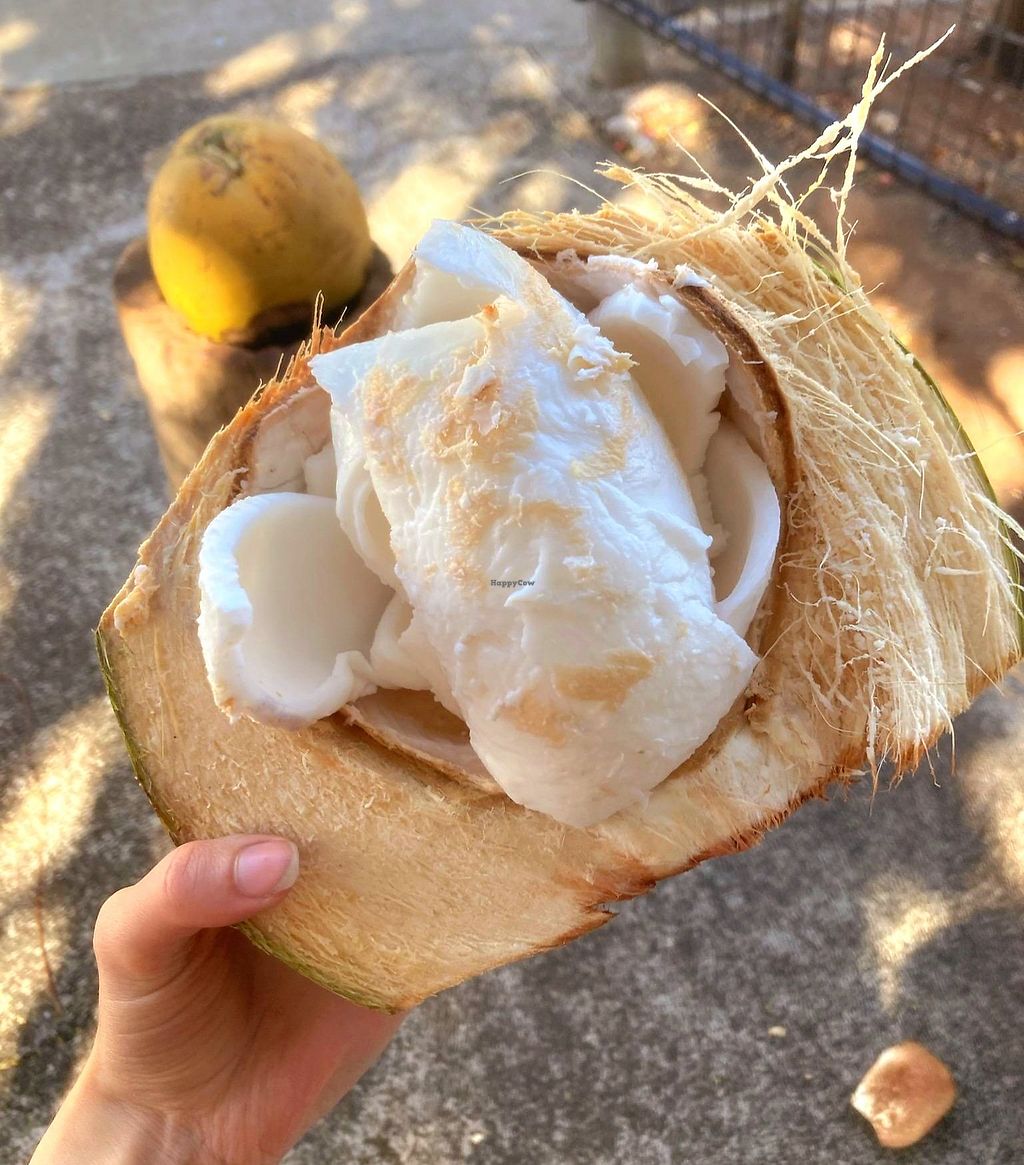 Coconut Caboose Paia Hawaii Ice Cream HappyCow