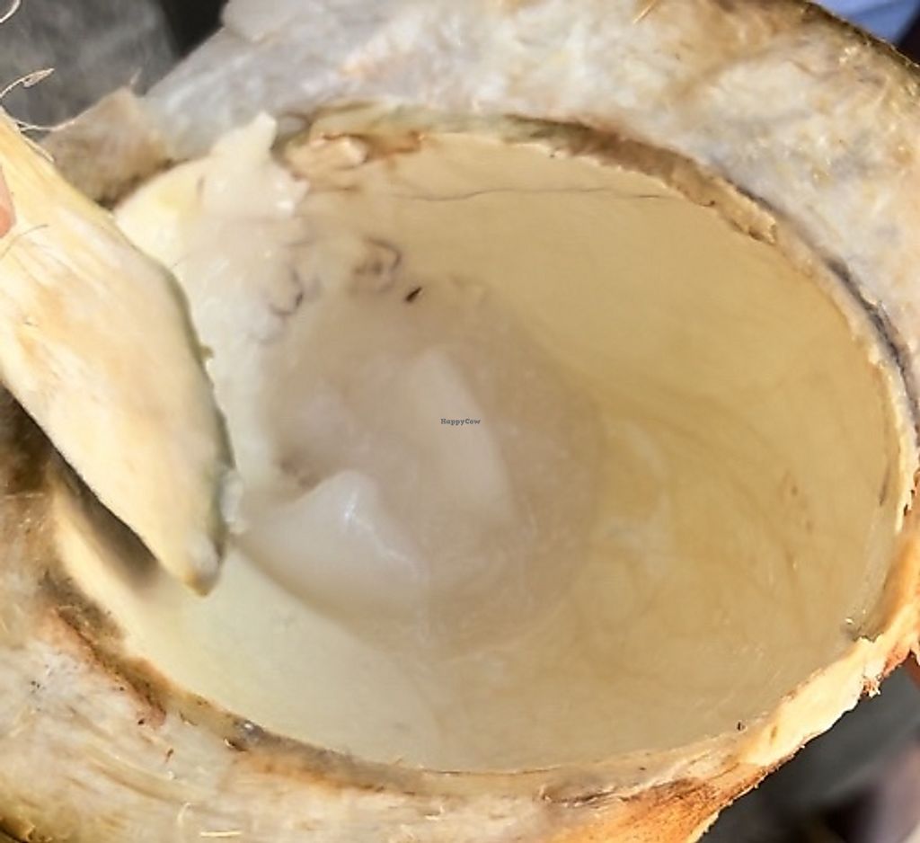 Coconut Caboose Paia Hawaii Ice Cream HappyCow