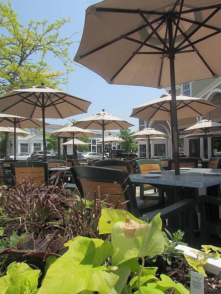 Siena Mashpee Massachusetts Restaurant HappyCow