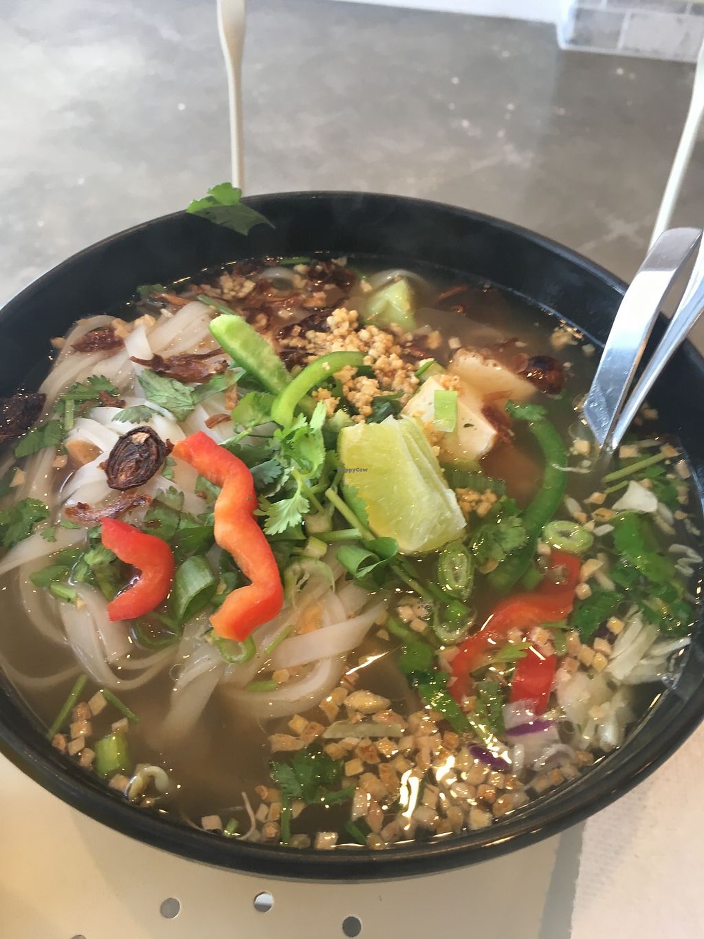 CLOSED Noodle Kitchen Tampa Florida Restaurant HappyCow