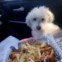 Even my dog loved it!!  at Loving Hut in Upland