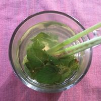 Herbal tea (asked for no sugar) at Ubud Sari Health Resort in Ubud