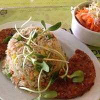 Burger, Rice, Salad Deal at Taam Hachaim - Taste of Life in Tel Aviv