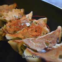 Gyoza (filled with okara and vegetables) at Cafe Proverbs 15:17 in Kyoto