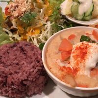 Vegan lunch set  at Green Earth in Osaka